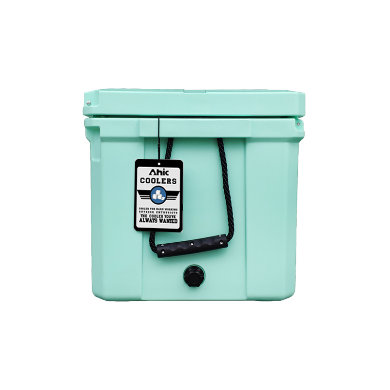 75L Insulated PE Ice Cooler Bo - Food & Snacks Colouring Book review and price