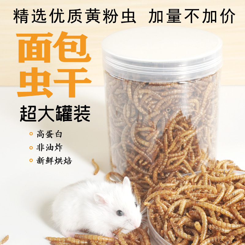 High-Protein Snacks Hamster Fo - Food And Snacks High In Protein review and price